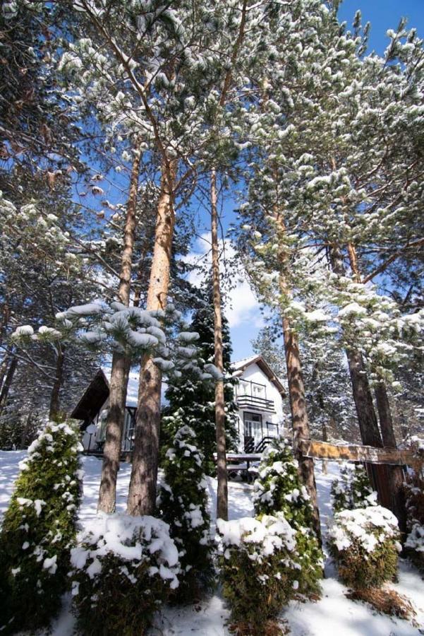 Apartments Breza Zlatibor Exterior photo